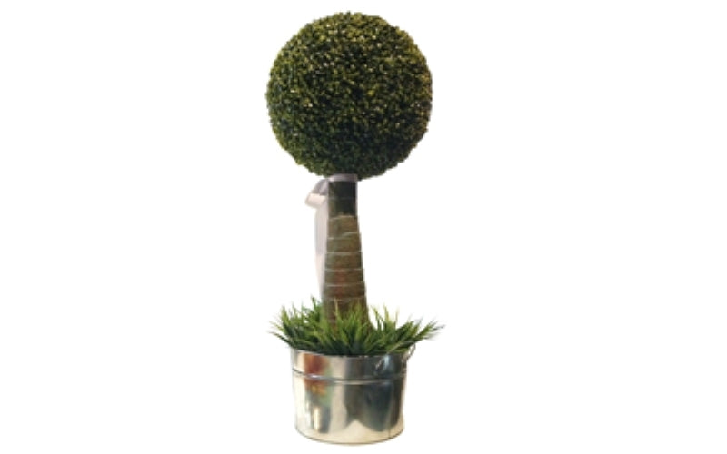 Tree Boxwood Topiary