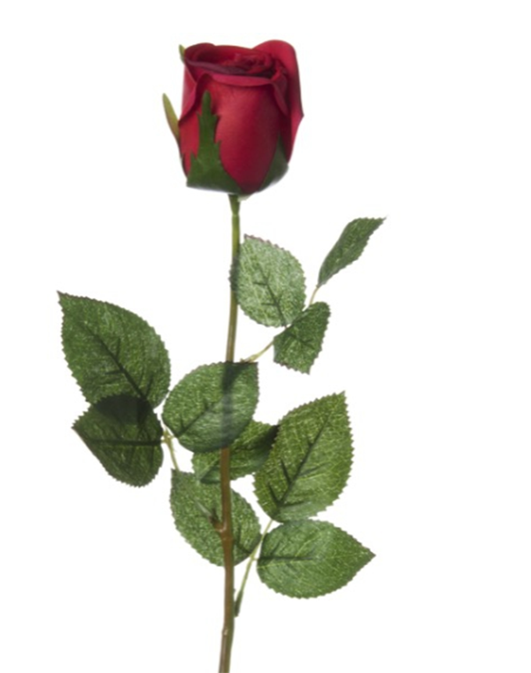 Floral Rose Single Red Velvet