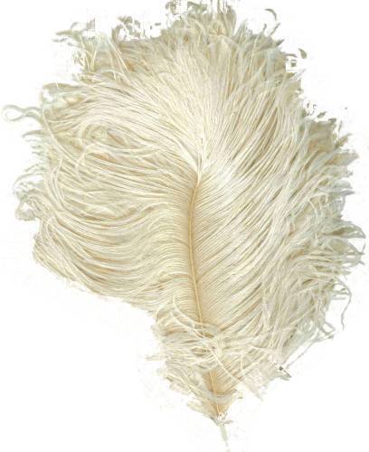 Feathers Ostrich White Medium 45-55cm