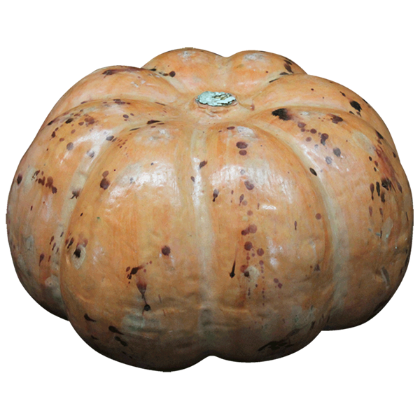 Pumpkins