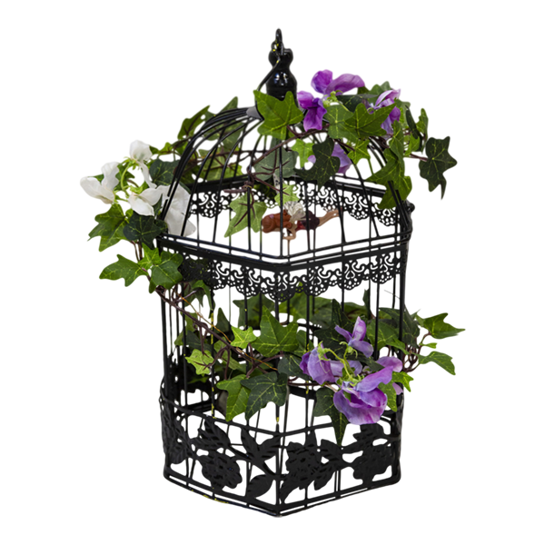Birdcage Metal Black with Floral Embellishments