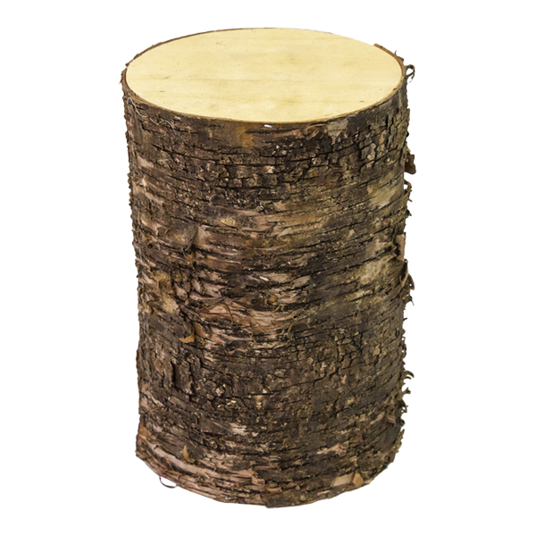 Birch Log
