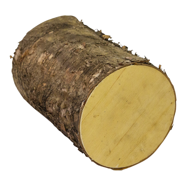Birch Log X 23cmL birch-log-x-23cml