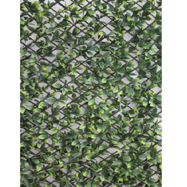 Foliage Laurel Leaf Trellis Green