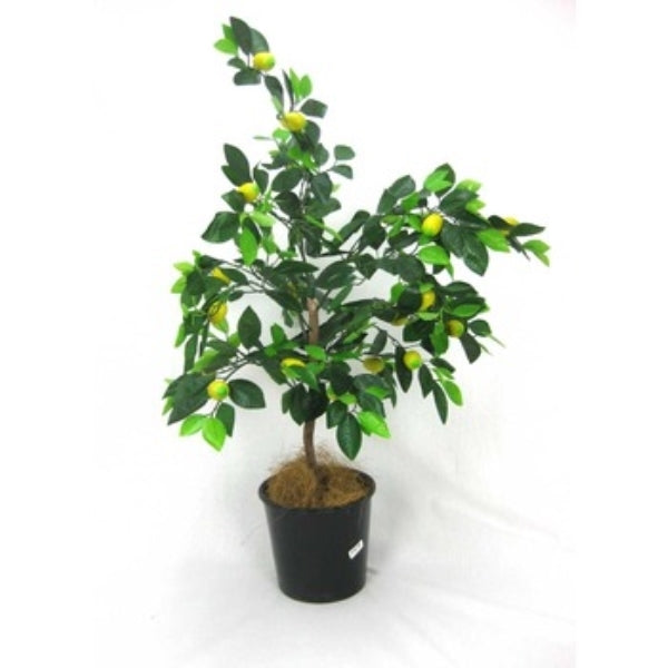Tree Lemon