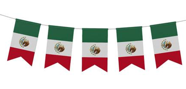 Bunting Swallowtail Mexican Plastic Green White Red