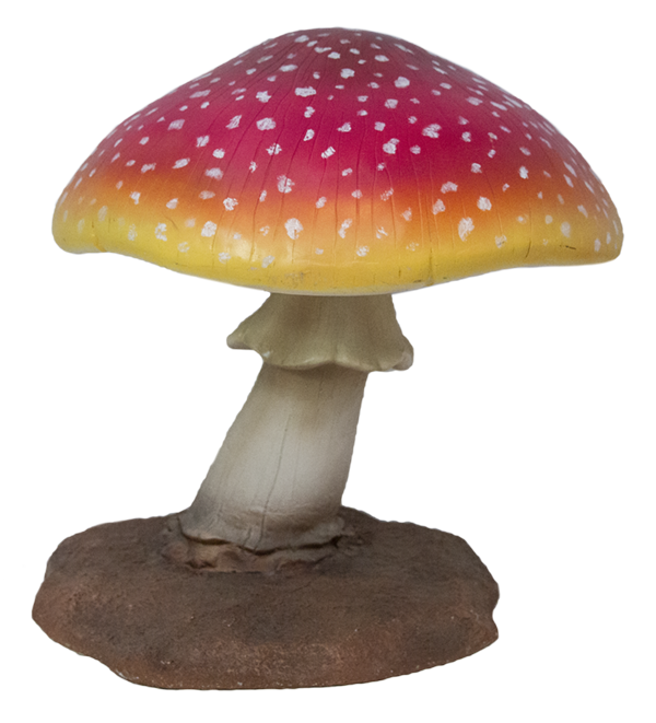 Mushroom Resin Red & White