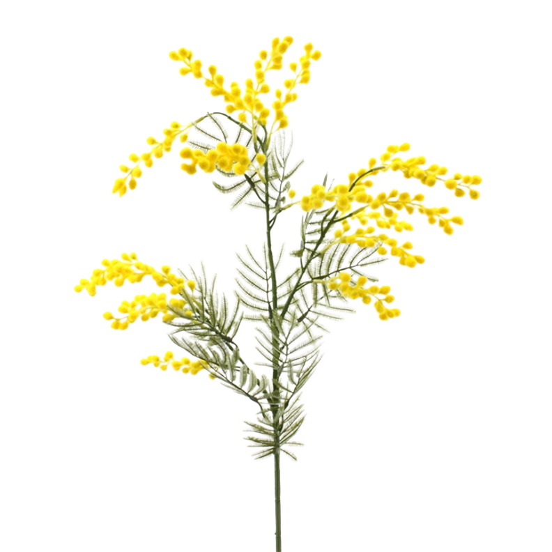 Floral Native Wattle Yellow 55cm