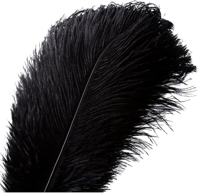 Feathers Ostrich Black Assorted Sizes