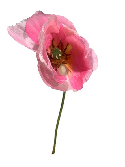 Floral Poppy Spray Pink