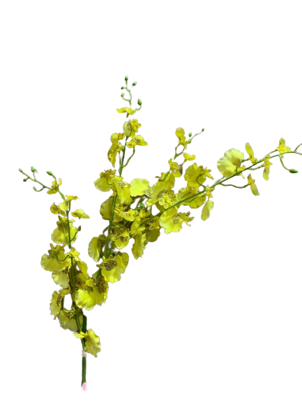 Floral Orchid Dancing Lady