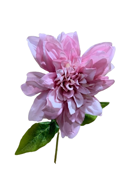 Floral Dahlia Pink