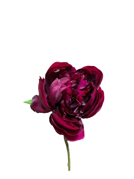 Floral Peony Burgundy