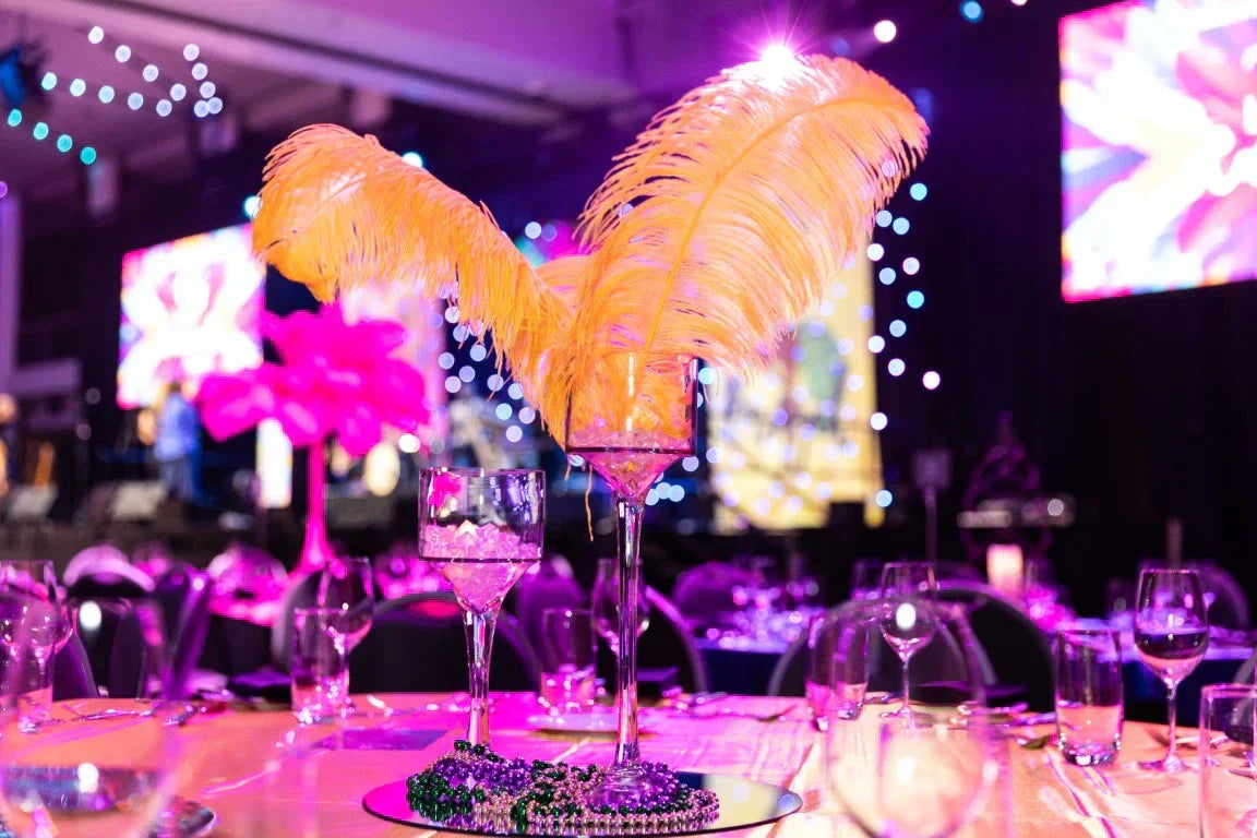Somerville Ball - Rio Carnival