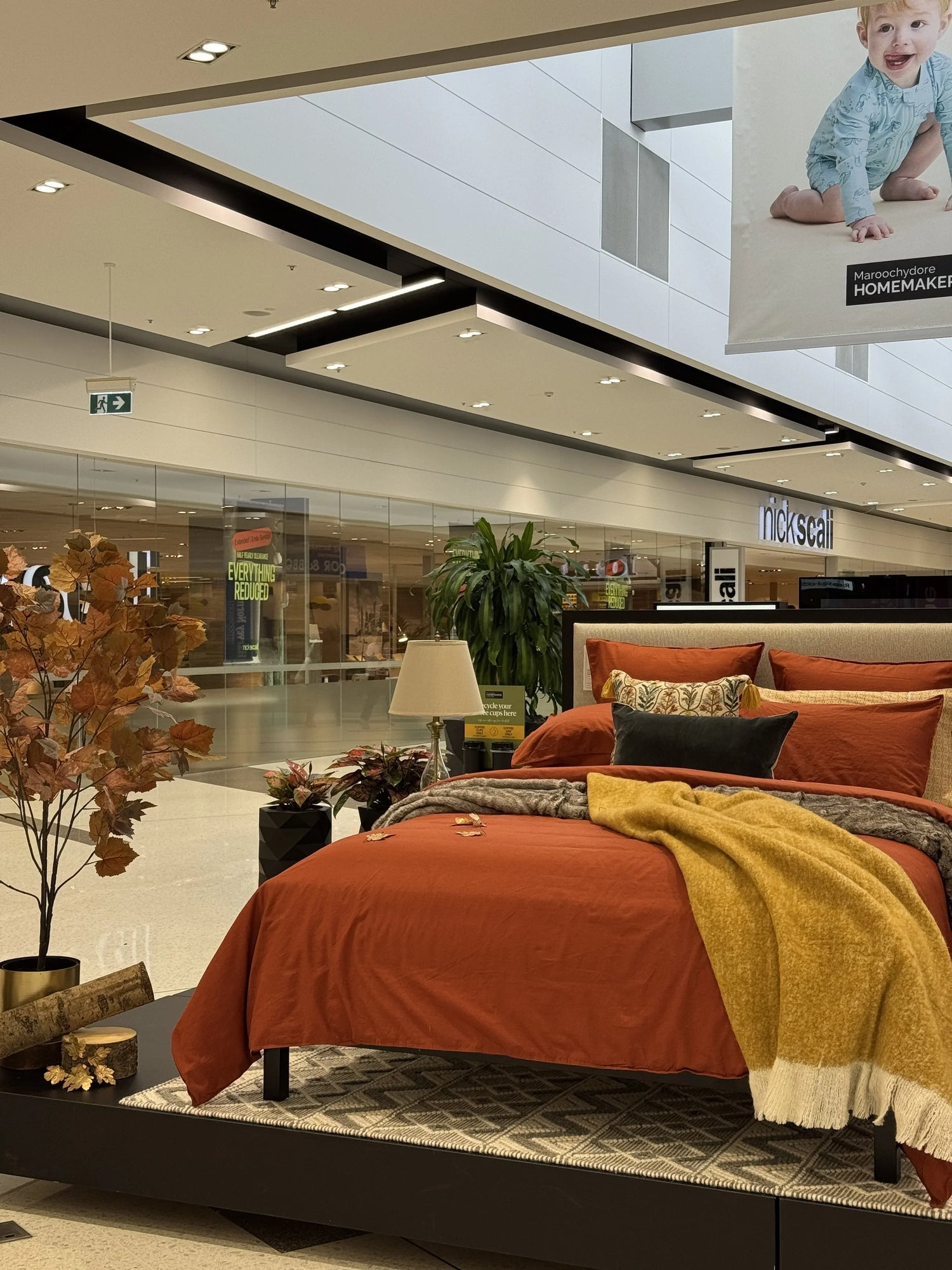 Winter Maple - Maroochydore Homemaker Centre