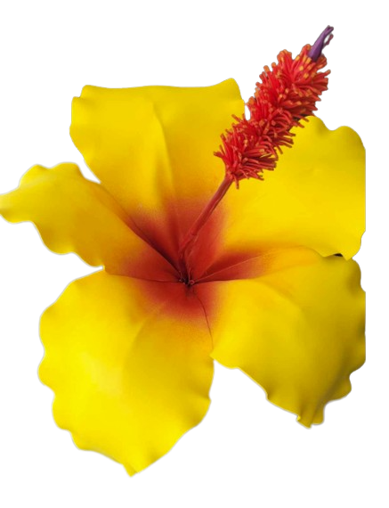Hibiscus Flower Foam Yellow