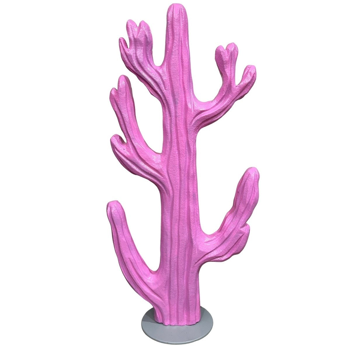 Cactus Hard Coated Polystyrene Pink