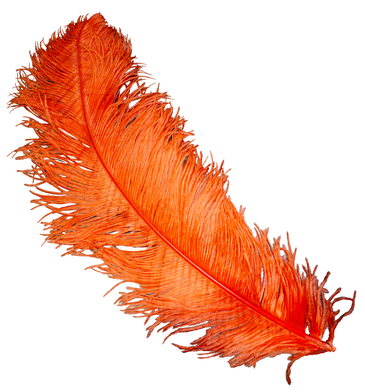 Feathers Ostrich Tangerine Assorted Sizes