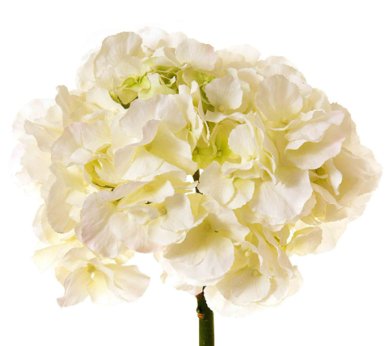 Floral Hydrangea White 30cm