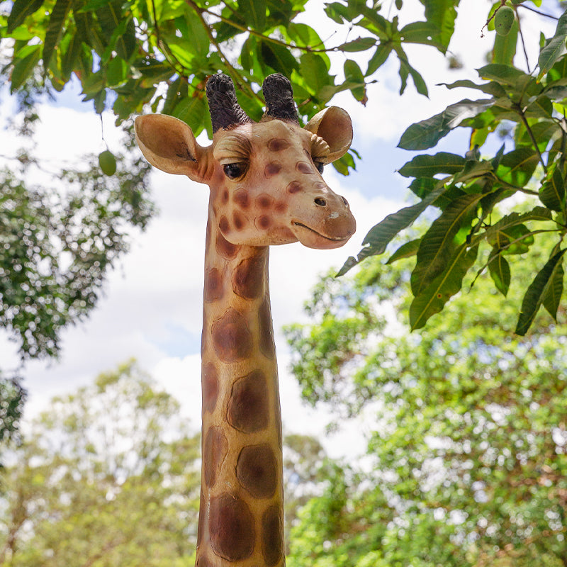 giraffe prop