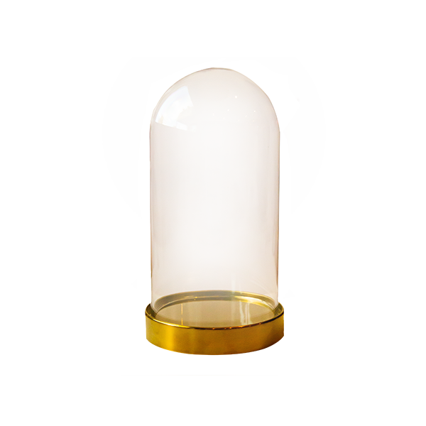 Glass Dome with Gold Base