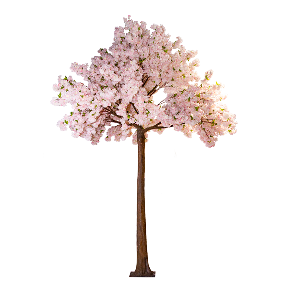 Tree Cherry Blossom Pink