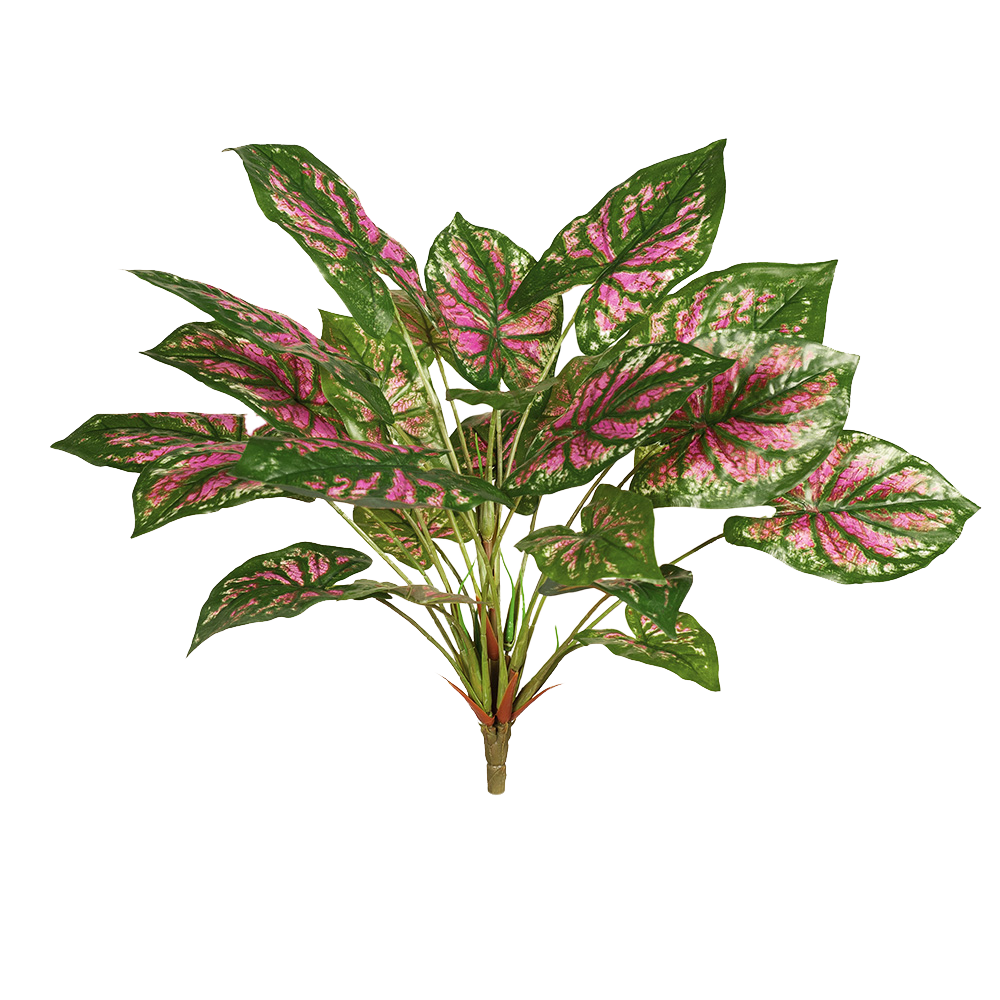 Floral Caladium Leaf Green Red Bunch