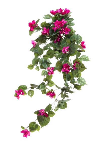 Floral Bougainvillea Pink