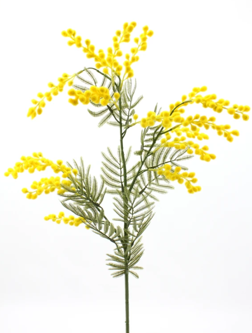 Floral Native Wattle Yellow 80cm