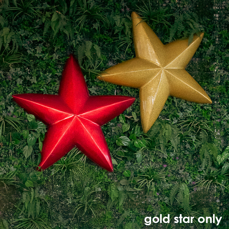 Star 3D 5 Point Single Sided Resin Gold