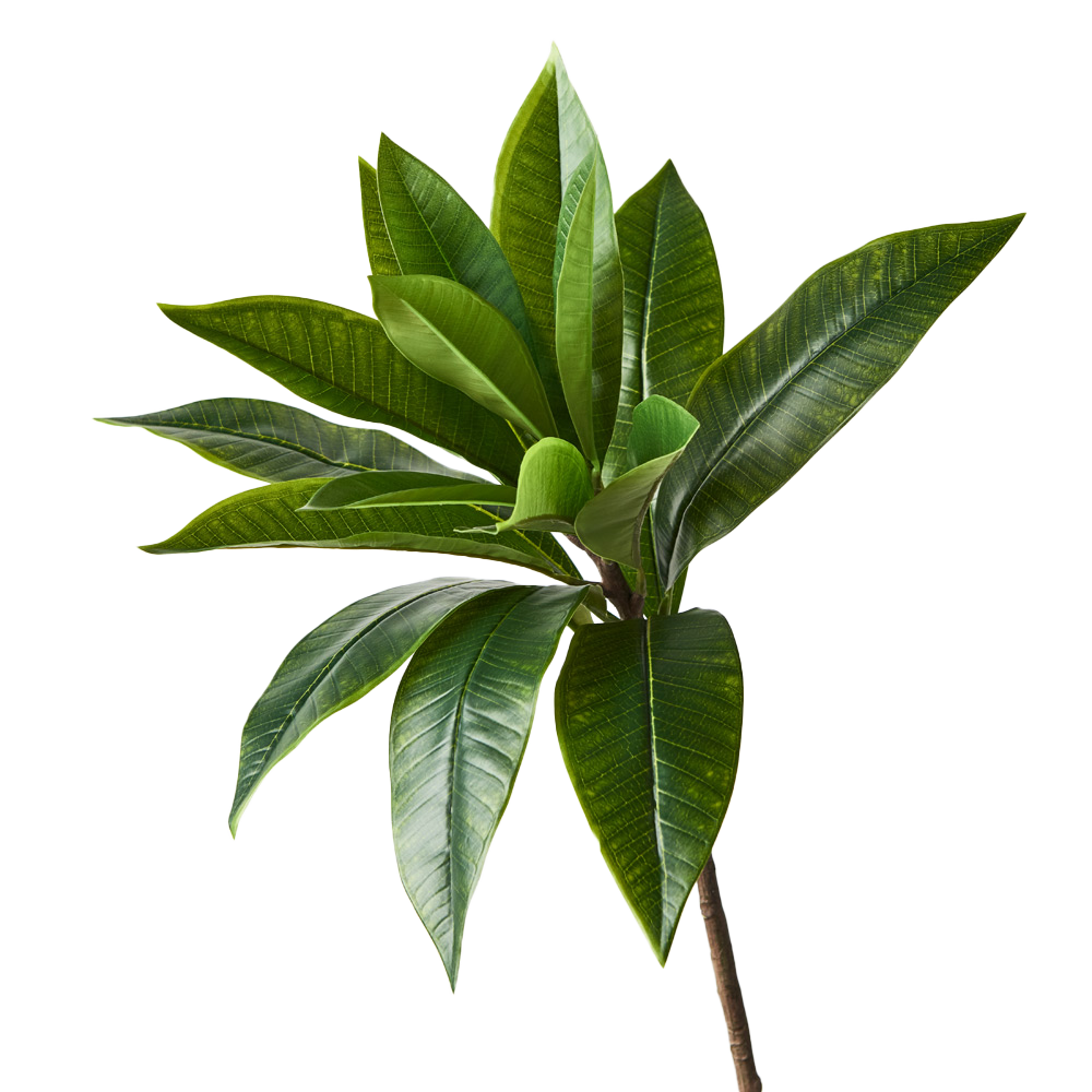 Frangipani Leaf Spray Green 86cm