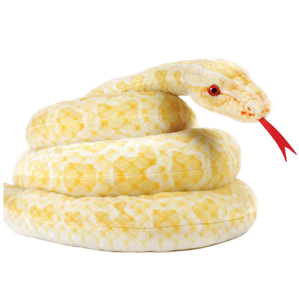Snake Burmese Python Albino