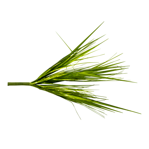 Grass Lime Metallic Spray
