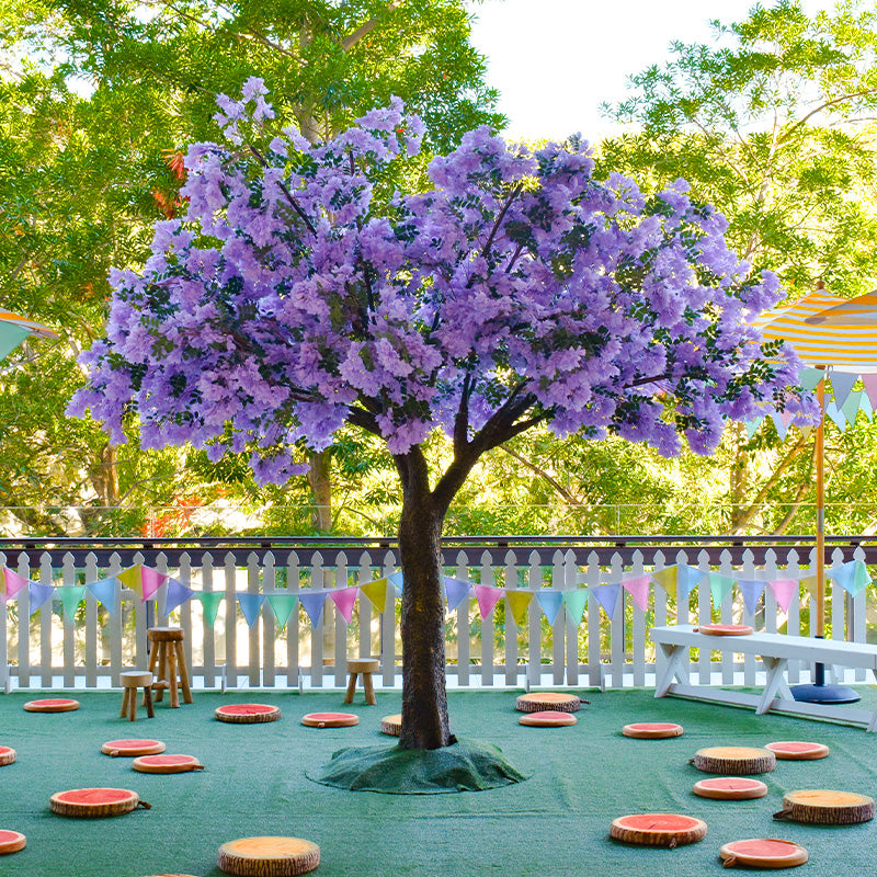 Jacaranda Tree Purple leaves