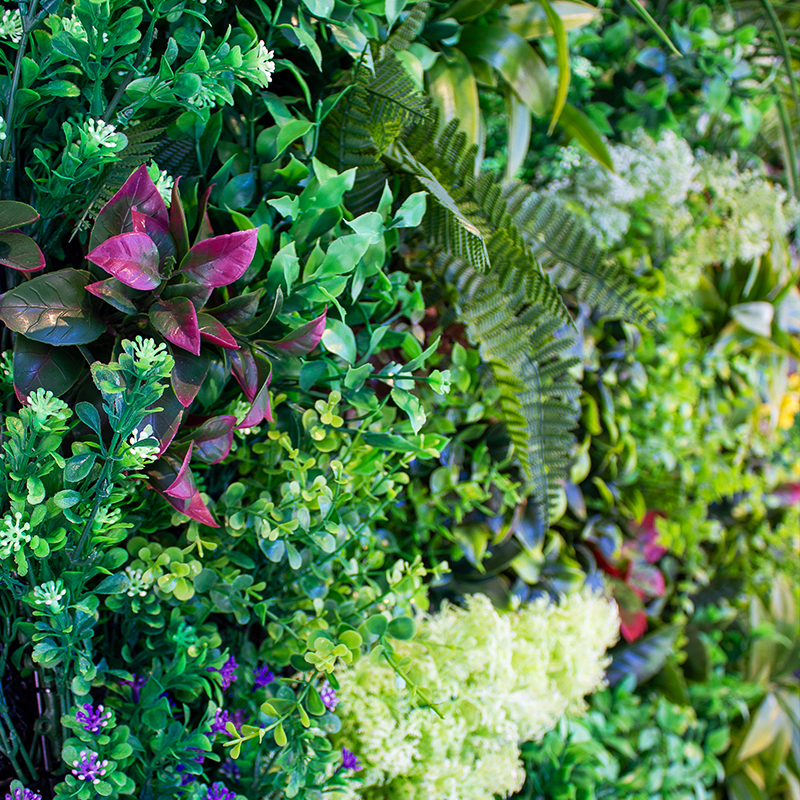 Paradise Greenery Wall