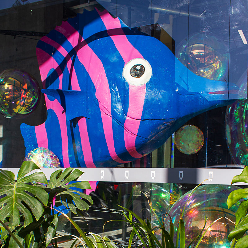 Fish Tropical Angel Poly Blue & Pink