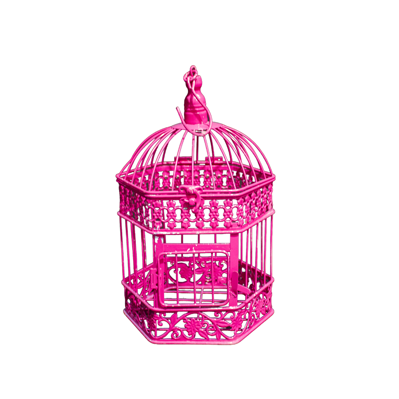 Birdcage Metal Pink Small