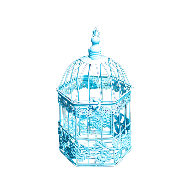 Birdcage Metal Light Blue Small