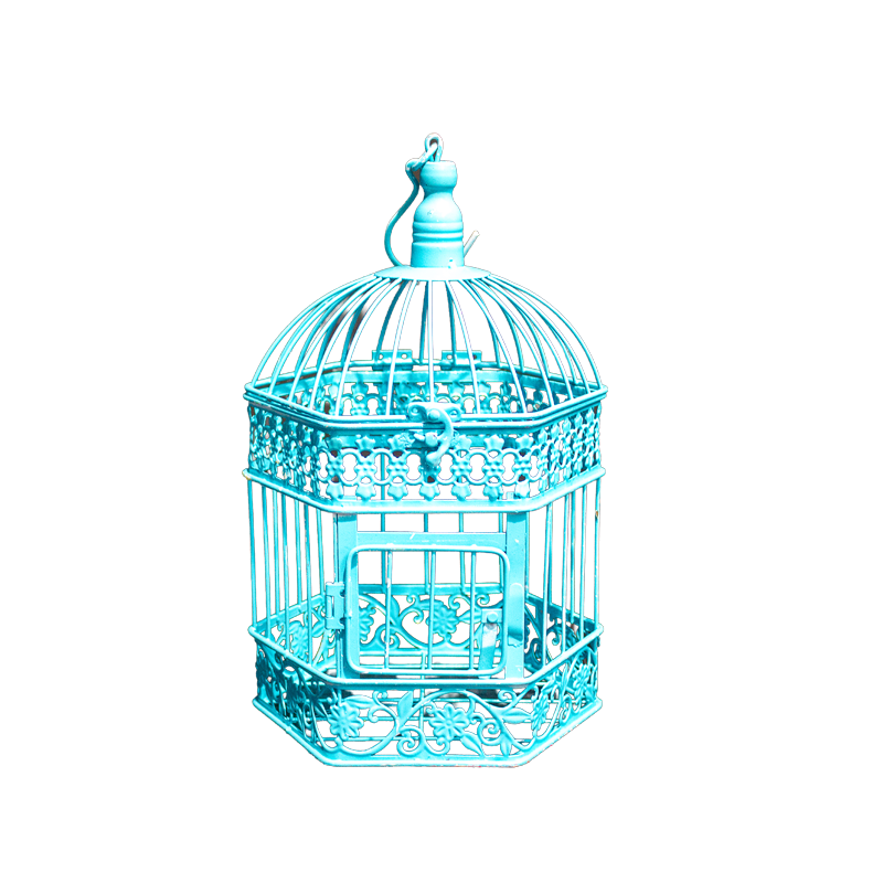 Birdcage Metal Light Blue Small