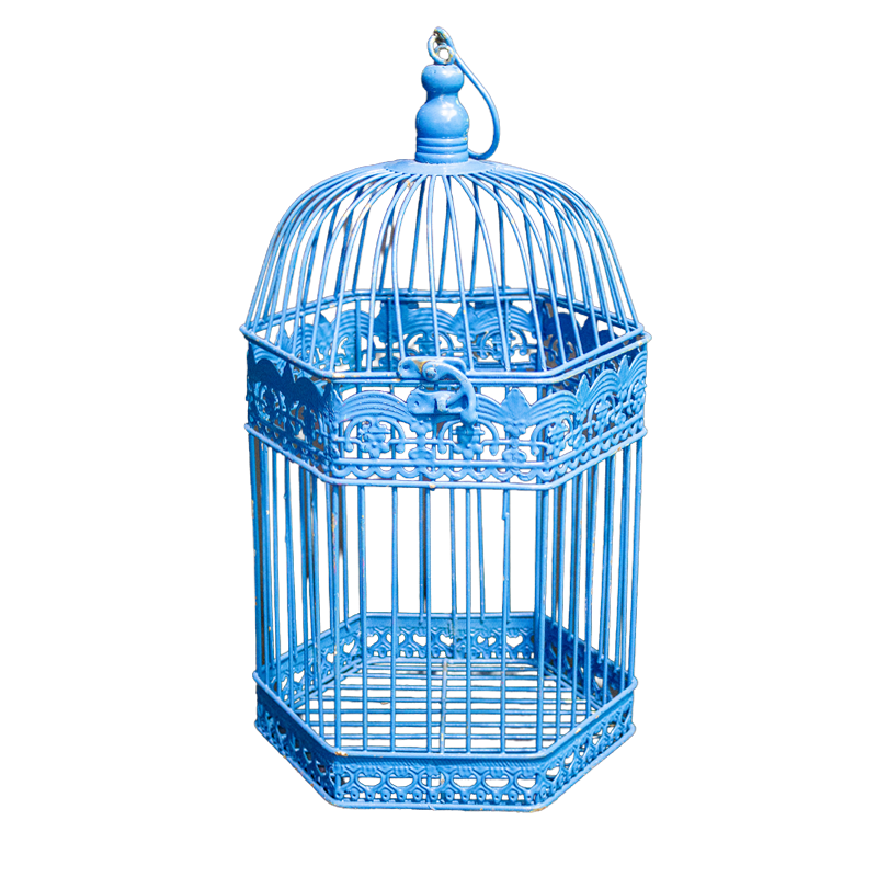 Birdcage Metal Blue Large