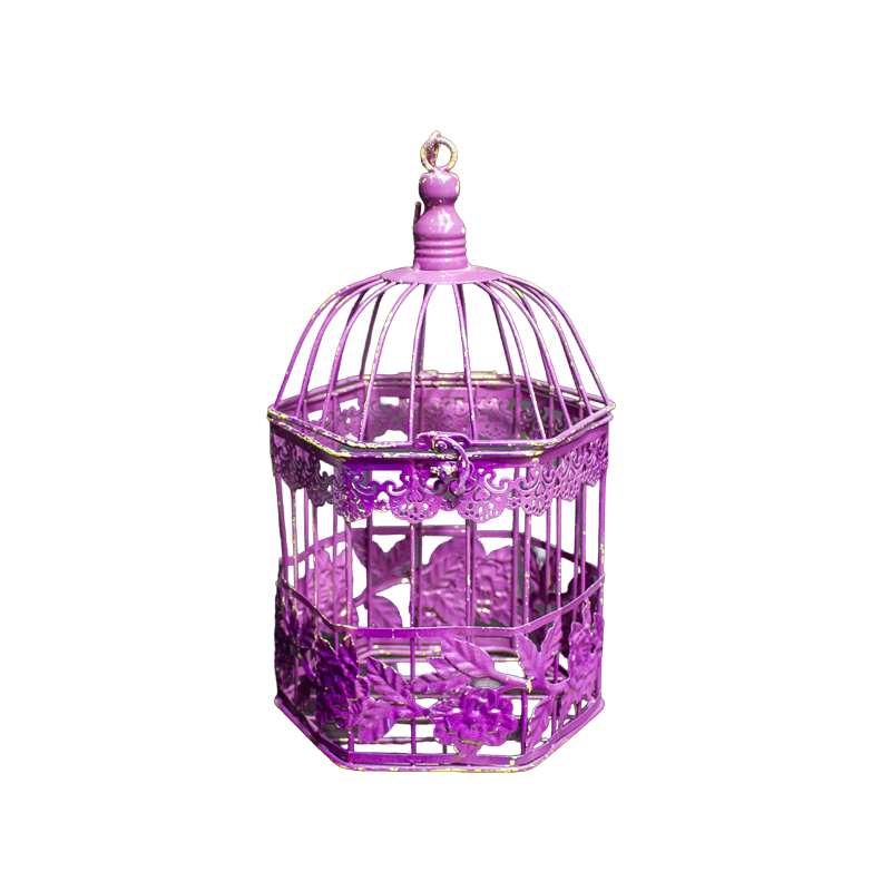 Birdcage Metal Purple Small