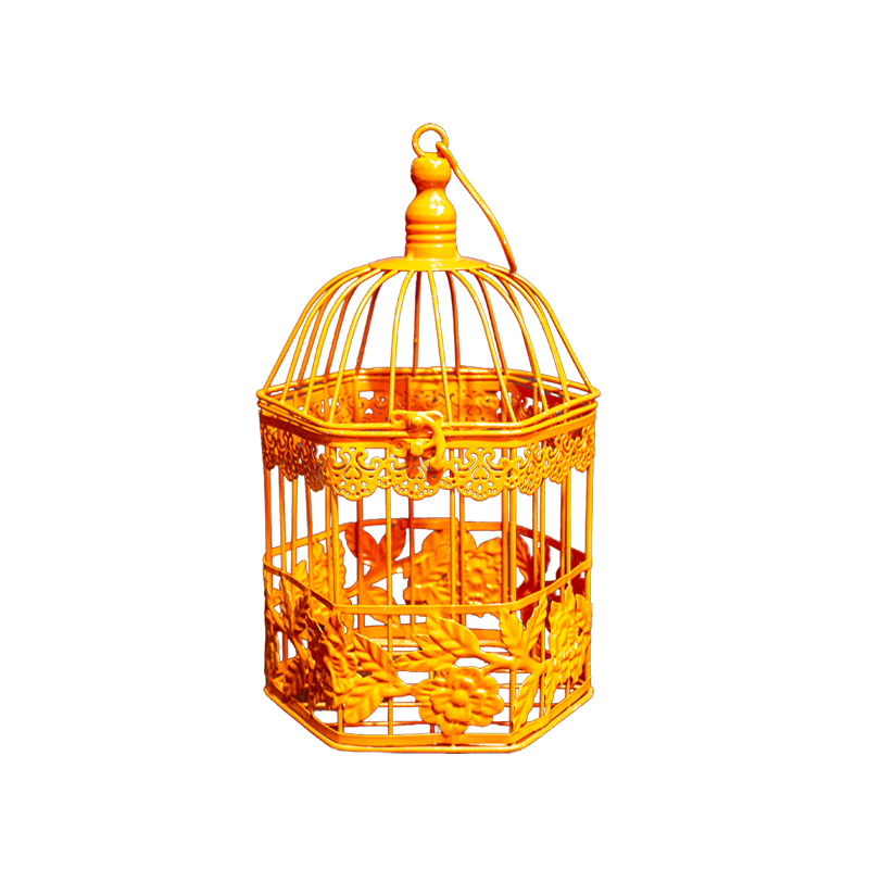 Birdcage Metal Orange Small