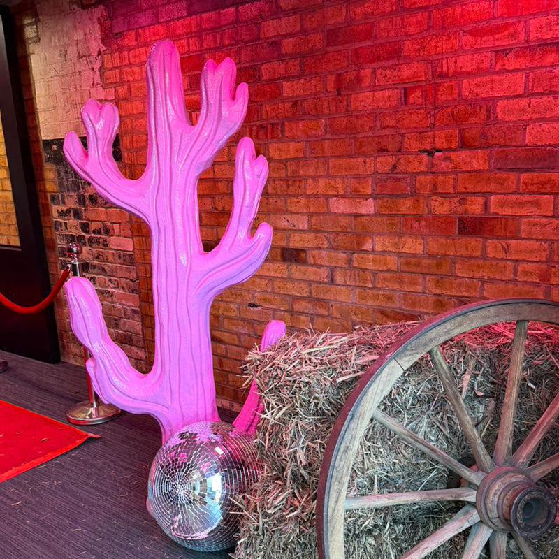 Cactus Hard Coated Polystyrene Pink