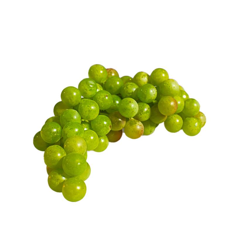 Grapes Green 23cm