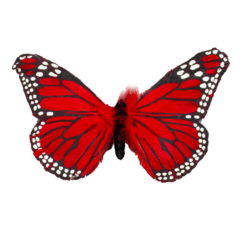 Butterfly Red