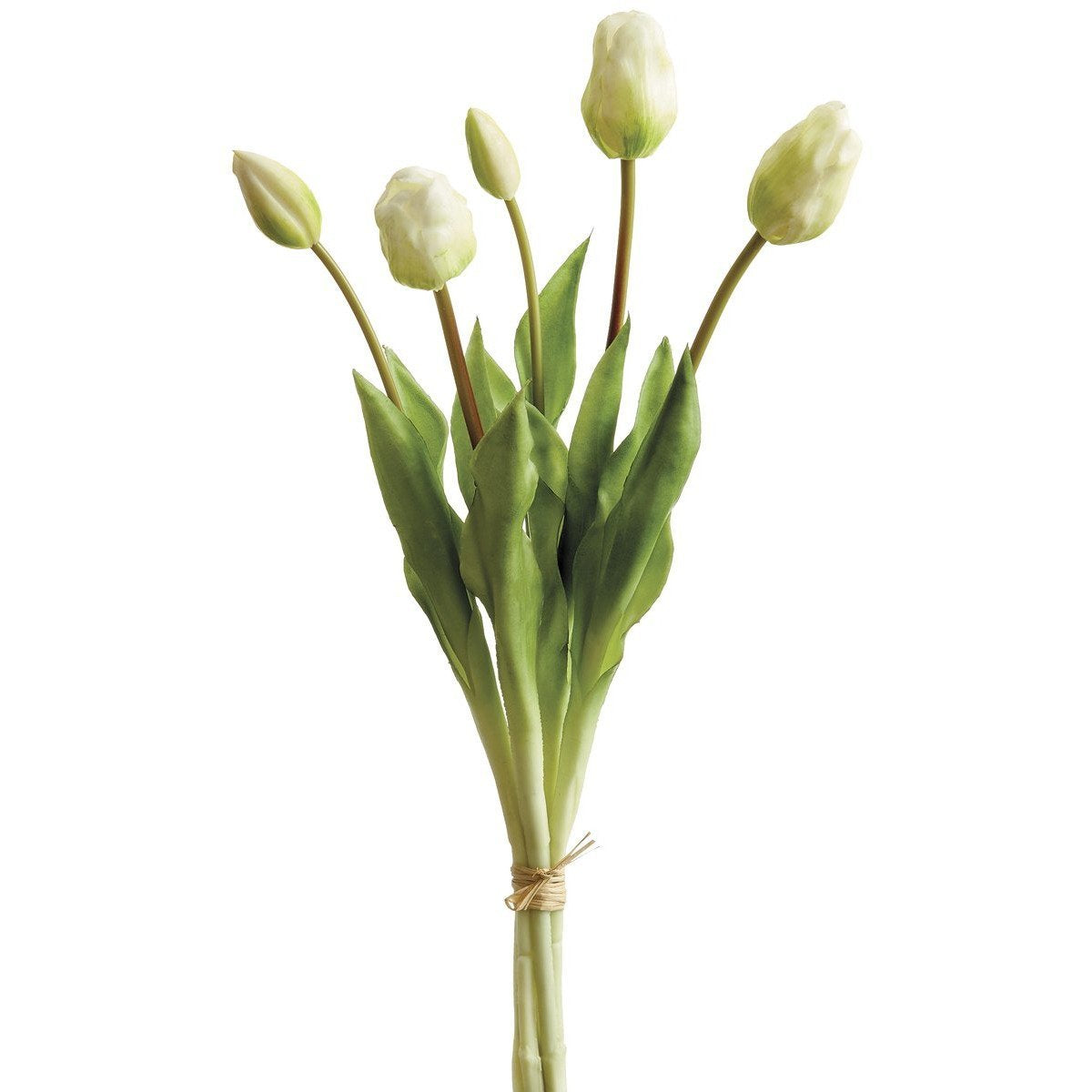 Floral Tulips Spray White