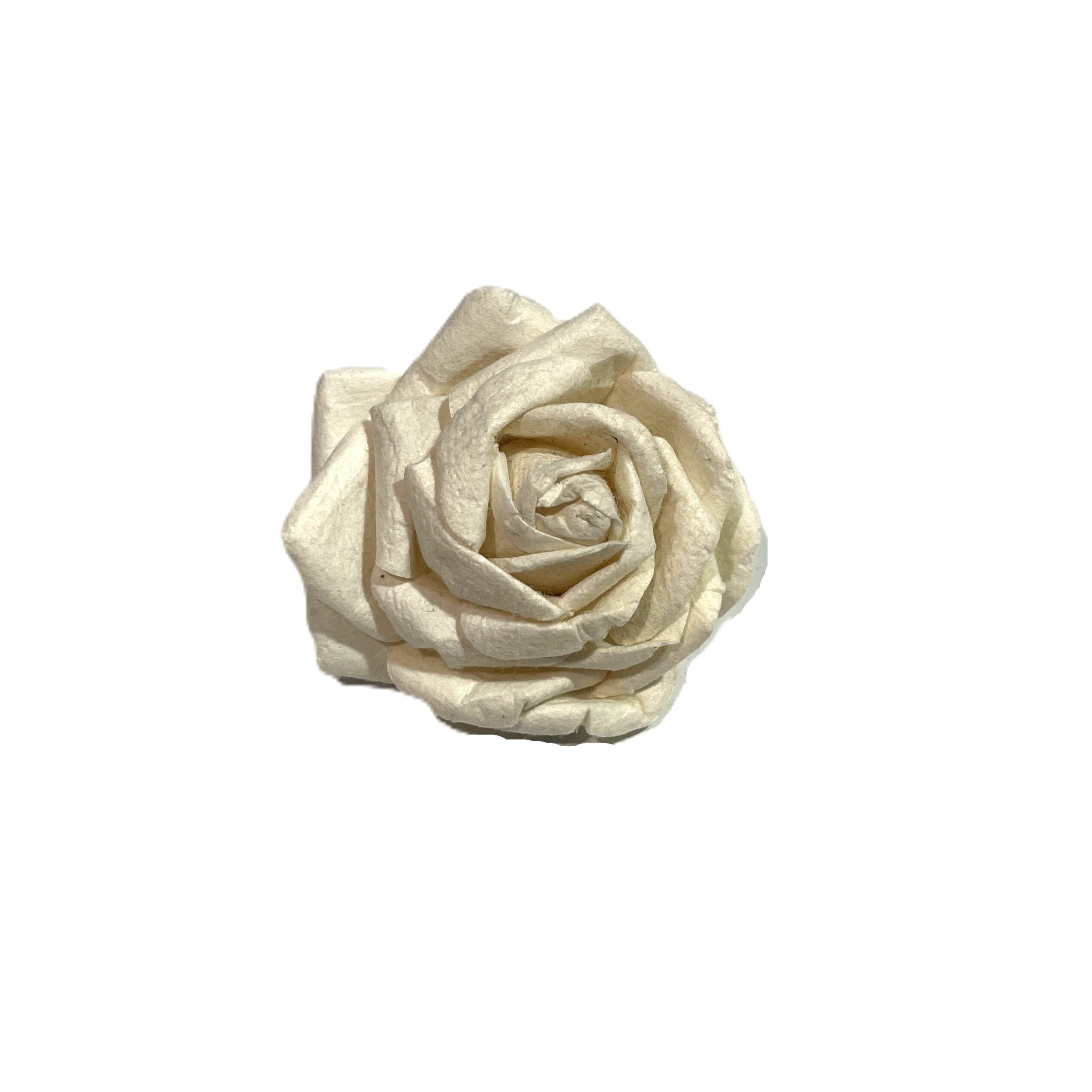 Floral Rose Paper White