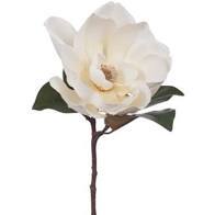 Floral Magnolia White