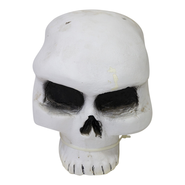 Skull Poly White