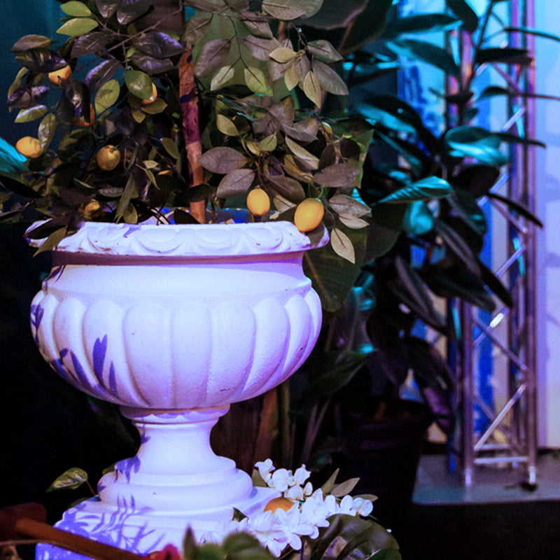 party decorations hire